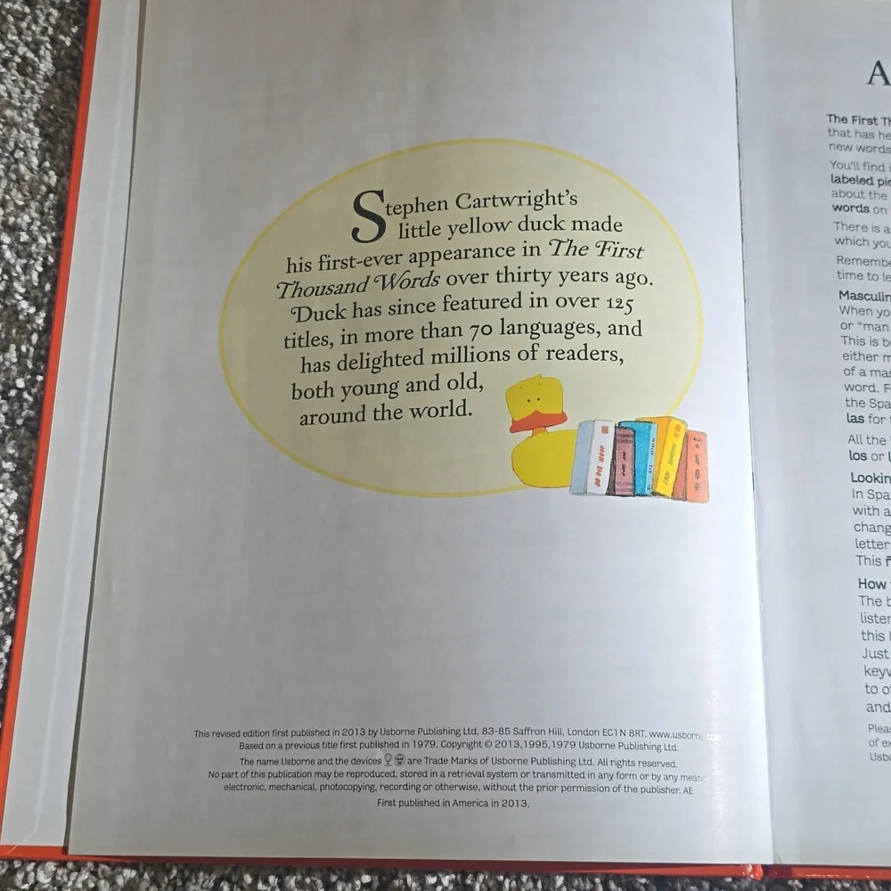 usborne bright orange